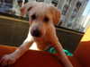 eva.6stuma.com6 Altpins Profile Picture