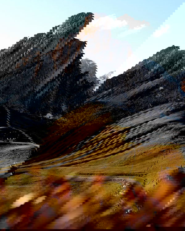 taylor.creeden taylor.creeden archive image