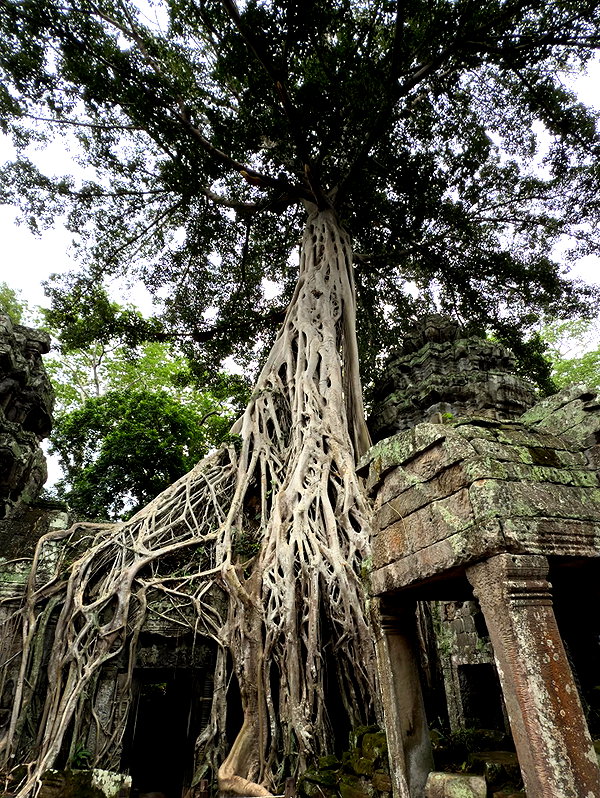 kesemgreenyer instagram image archive image