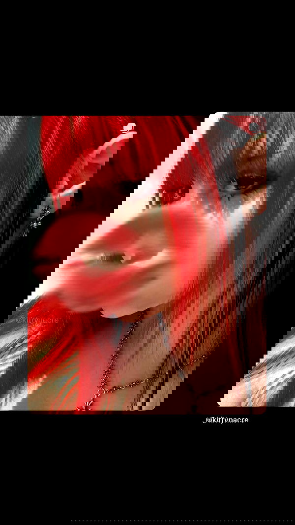 kittynacre kittynacre archive image