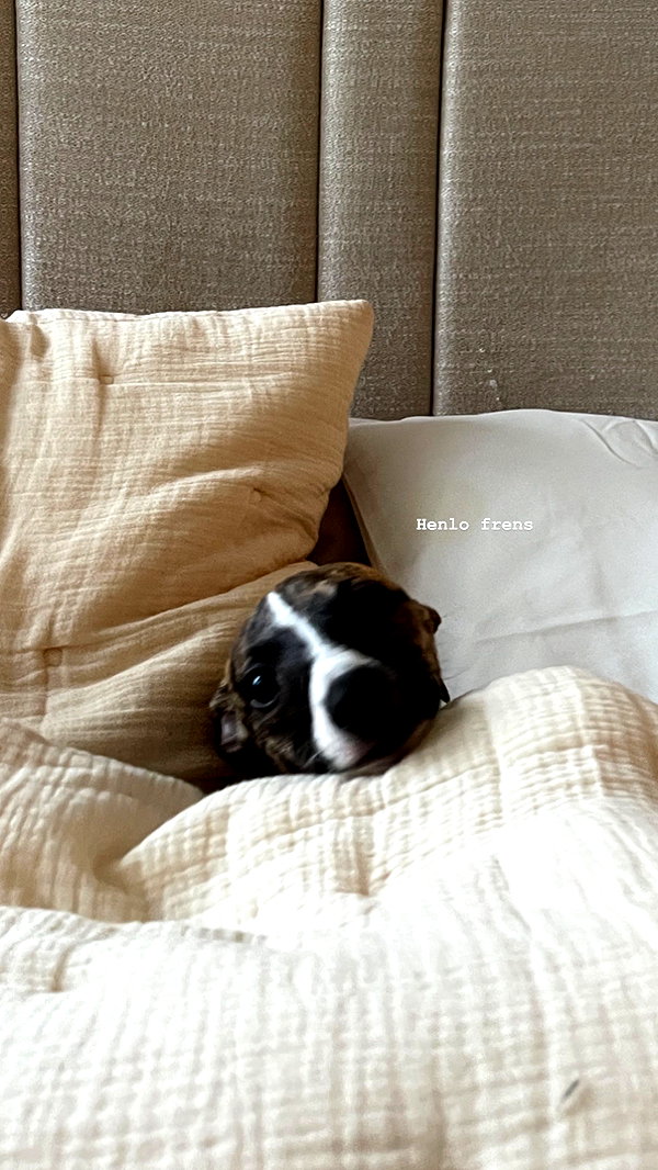 lilih instagram image archive image