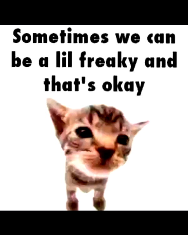 leanbeefpatty instagram image archive image