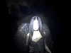 daaarkina Altpins Profile Picture