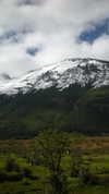 josefinaaa_f Altpins Profile Picture