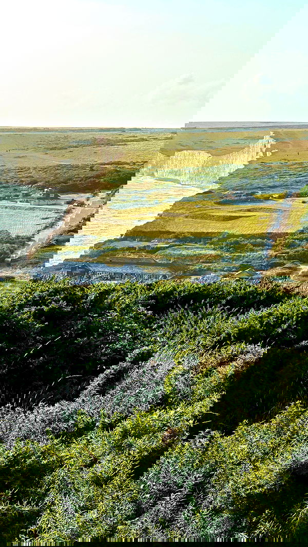 taylor.creeden taylor.creeden archive image