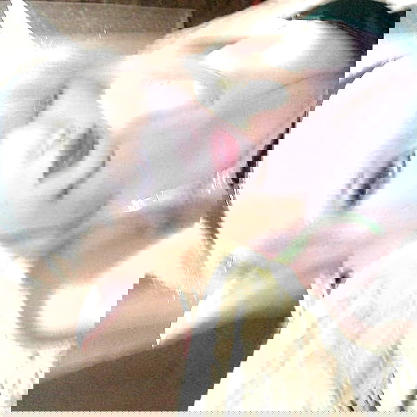 zoxmbiex image ~ Altpins