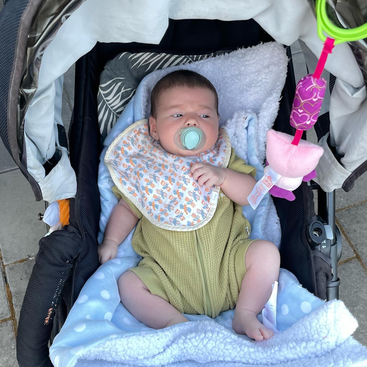 jtilb2 instagram image archive image