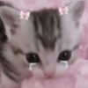 nishymoon_ Altpins Profile Picture
