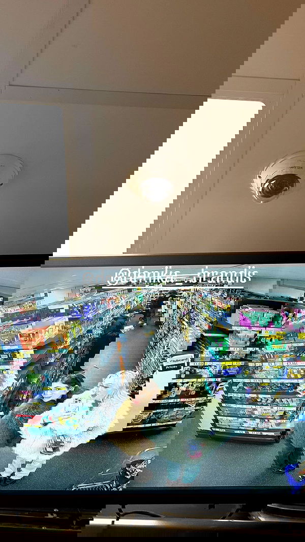 jaroslava_klavir jaroslava_klavir archive image