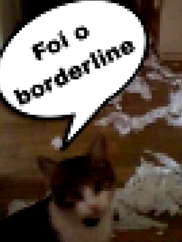 ambrzinha666 instagram image archive image