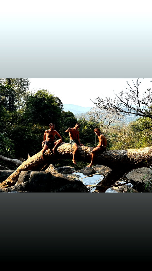 idoblau instagram image archive image