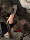 _m_a_y_c_ Altpins Profile Picture