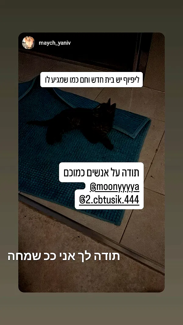 moonyyyya moonyyyya archive image