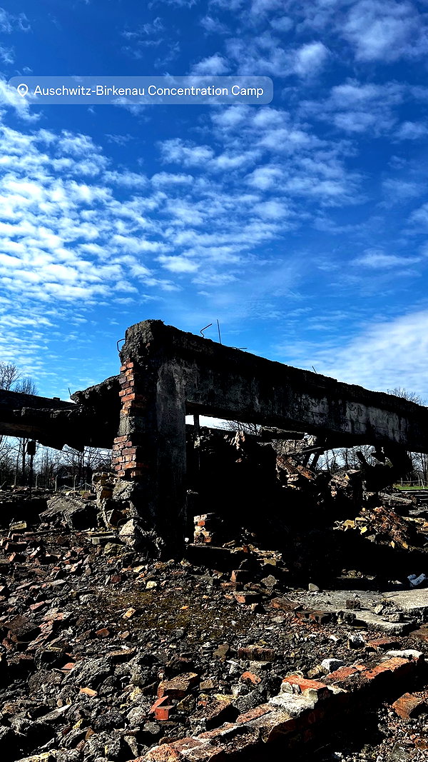 rott3nbambi instagram image archive image