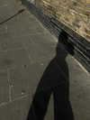 777pb_ Altpins Profile Picture