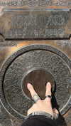 pavuk1_0 Altpins Profile Picture