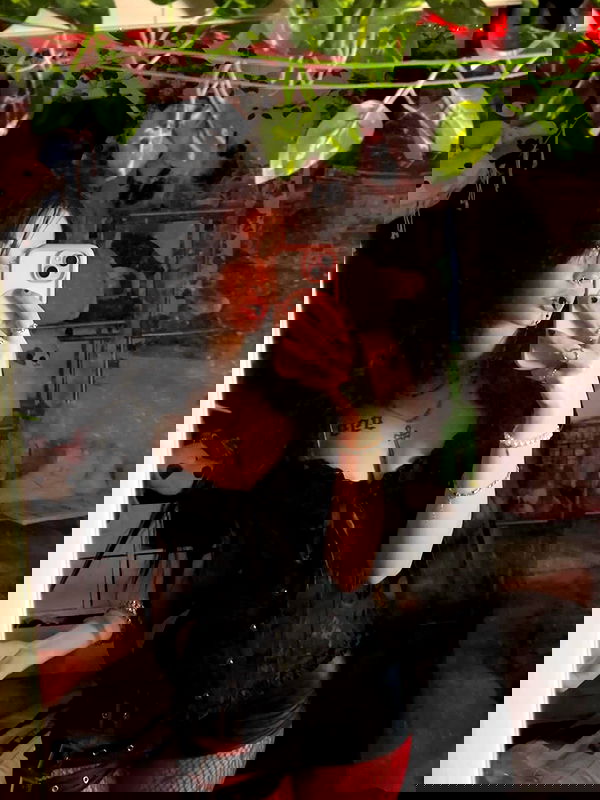 _animechika_ _animechika_ archive image