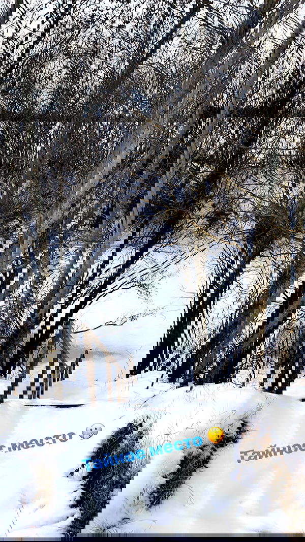 nyityam nyityam archive image