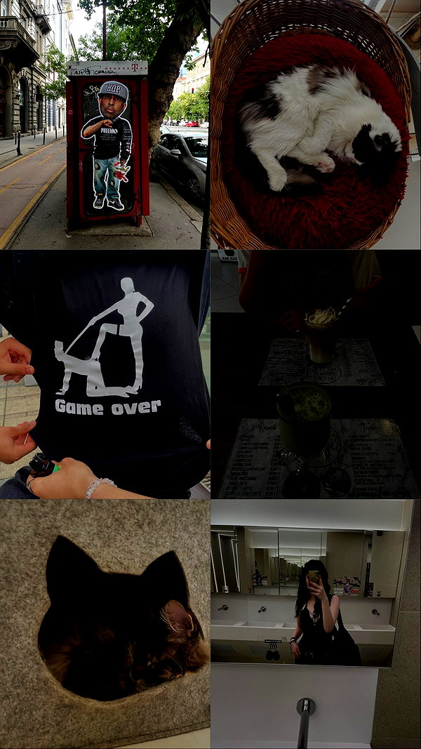 borkwsmh instagram image archive image