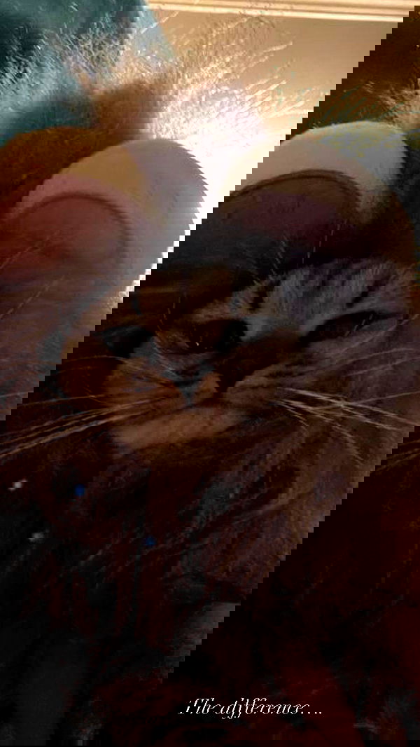 taylor.creeden taylor.creeden archive image