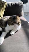 sonia_litvanchuk Altpins Profile Picture