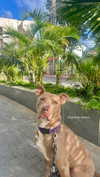 koralsarosi_ Altpins Profile Picture