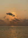 shpaakova Altpins Profile Picture
