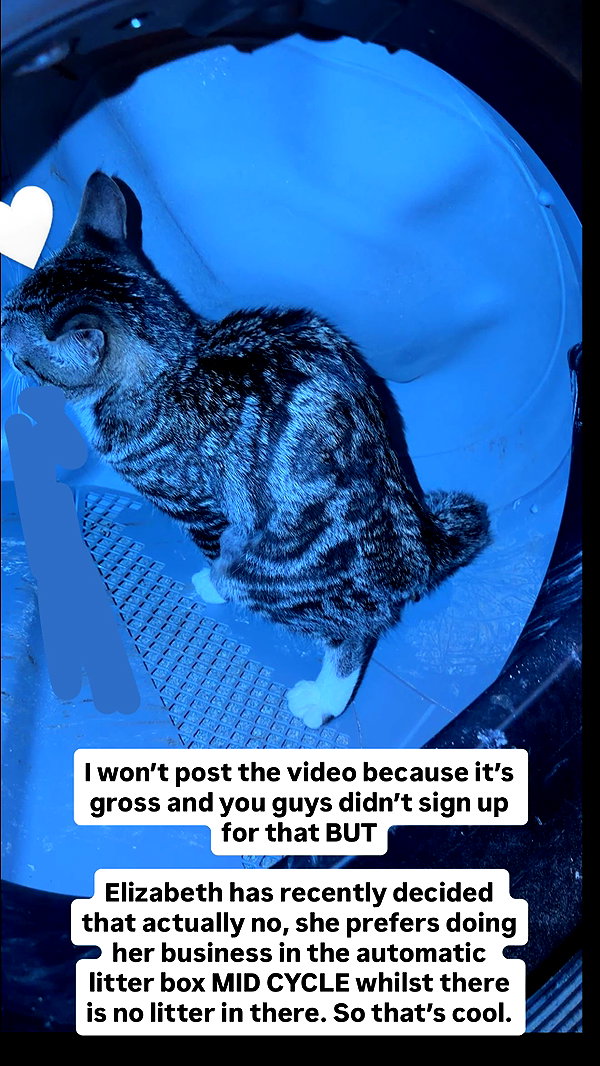gabbyepstein instagram image archive image
