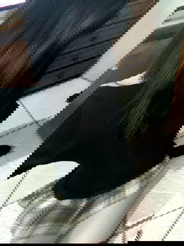 starttles starttles archive image