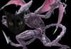 glxoop Altpins Profile Picture