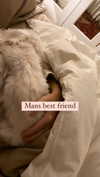 elizabethcampbelljones Altpins Profile Picture