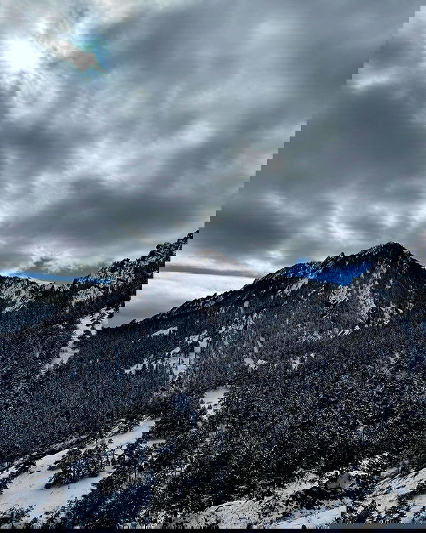 thelizzyporter thelizzyporter archive image