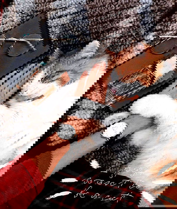 kkulakovaa image ~ Altpins