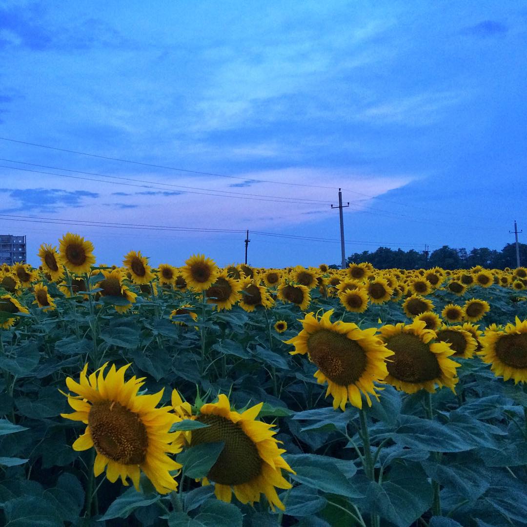 kkulakovaa instagram image archive image