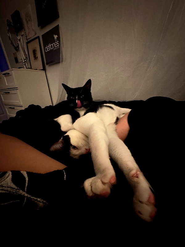 6nattynat9 instagram image archive image