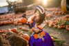 xier_cos Altpins Profile Picture