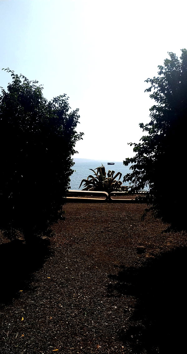 nikolpeleg instagram image archive image