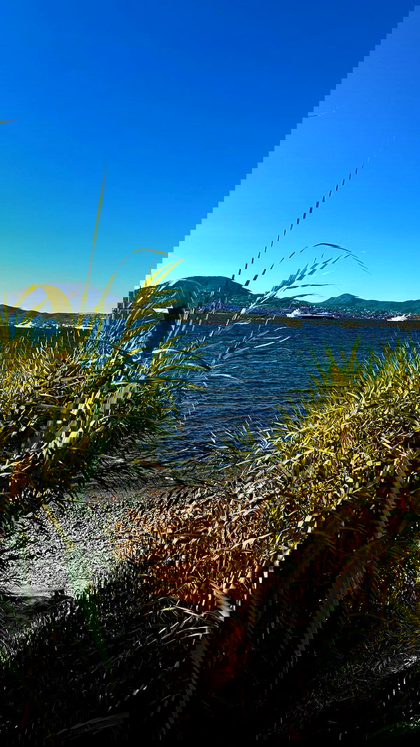 taylor.creeden taylor.creeden archive image