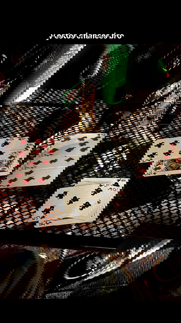 mosssaico mosssaico archive image