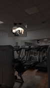 rott3nbambi Altpins Profile Picture