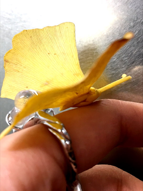 pskyng instagram image archive image