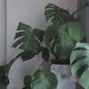 bad.toy Altpins Profile Picture