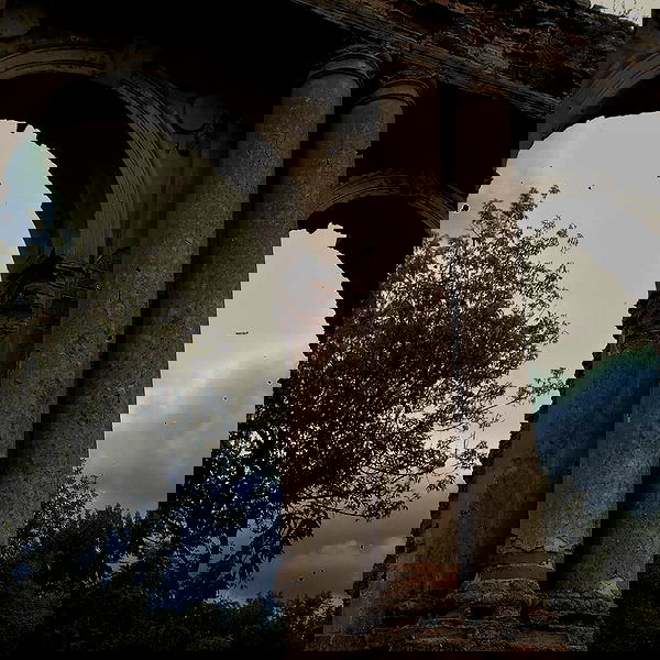 annfigmax image ~ Altpins