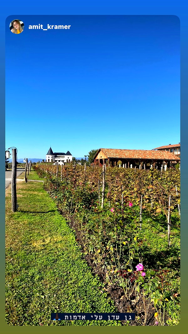 lihi.k_ instagram image archive image