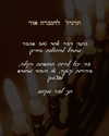 hilla.sela Altpins Profile Picture