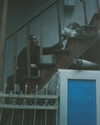 milena_milachich Altpins Profile Picture