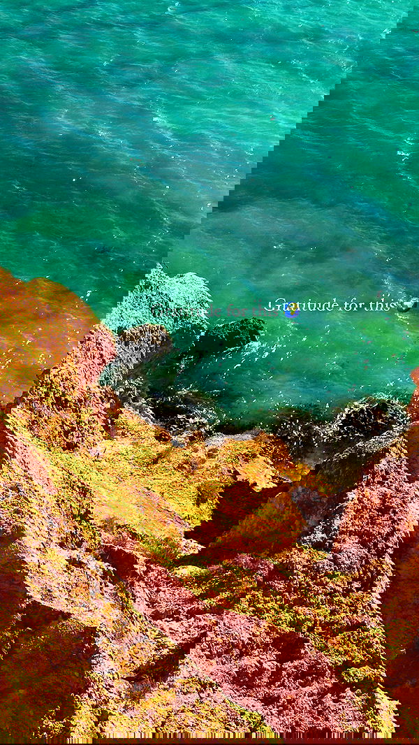 taylor.creeden taylor.creeden archive image