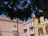 martinagiiuliani Altpins Profile Picture