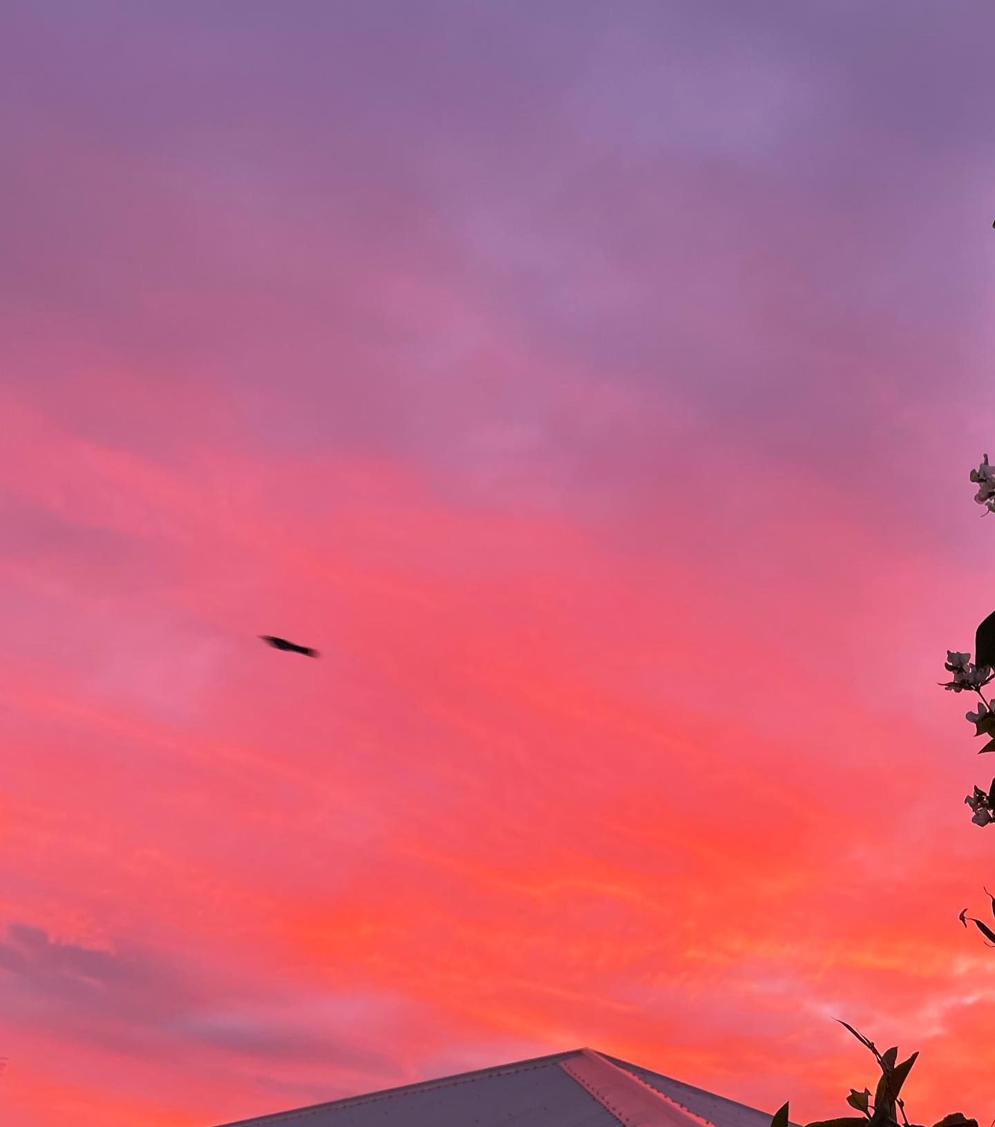 jtilb2 instagram image archive image