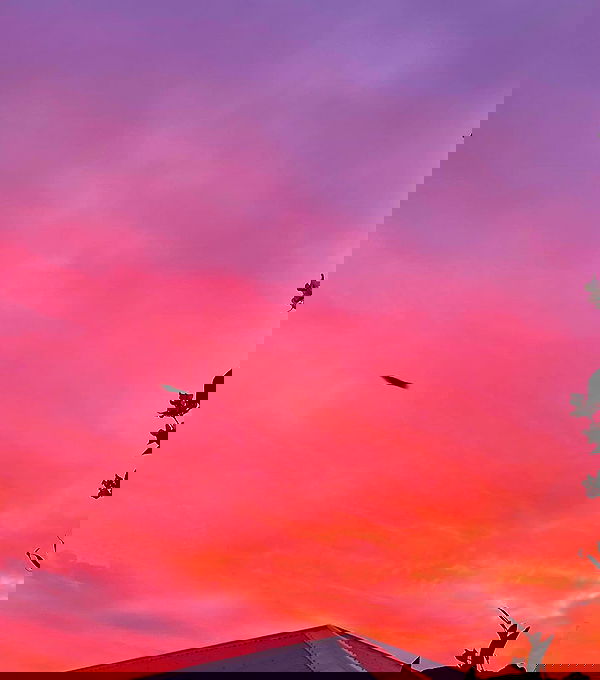 jtilb2 image ~ Altpins